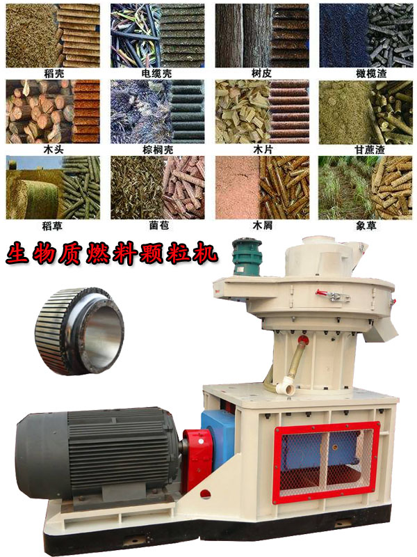 國內(nèi)外生物質(zhì)燃料顆粒機應用現(xiàn)狀的疑問！