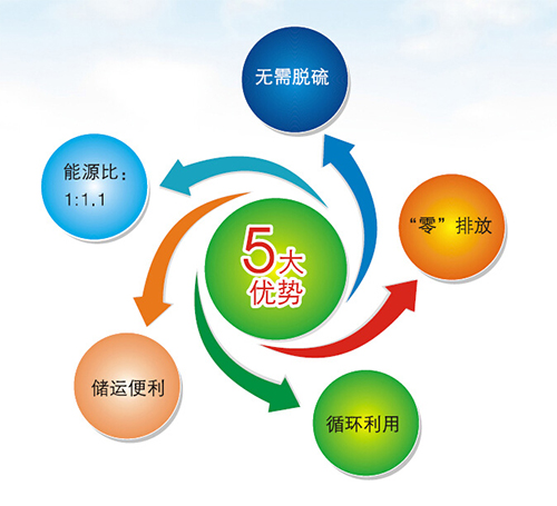 多功能生物質(zhì)燃料顆粒機(jī)性能有哪些？